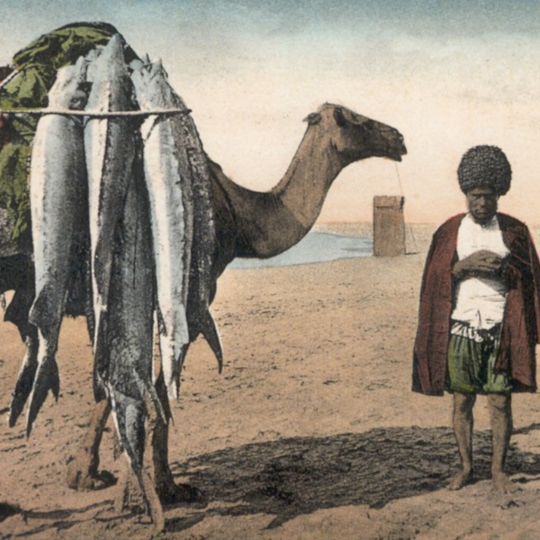 A drawing of a camel with large fish tied to its back, on the right are two people, taken on a beach during the day.
