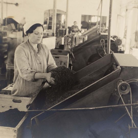 A female worker loading shredded tobacco into the cigarette-making machine. The Album of the Tobacco Monopoly Administration of the Turkish Republic, 1940. Rezan Has Museum (registered in the Museum for the History of Science and Technology in Islam).