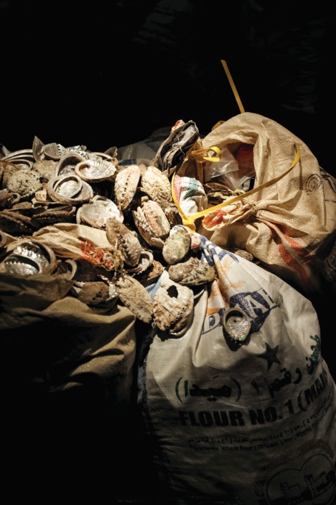 Zheng Mahler: A Season in Shell, 2014 (installation shot), (c) Photo: Zheng Mahler.